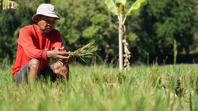 P5K, P3K aid set for farmers, fishers